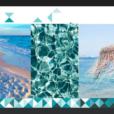 Mediterraneo Argento 펜션