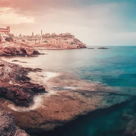 Mediterraneo Argento 펜션 *